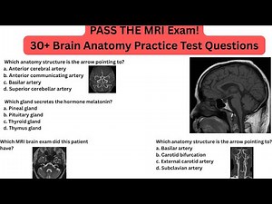 MRI Brain Anatomy Practice Test | 30 Questions & Answers for ARRT & ARMRIT Registry Exam Prep