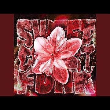 SWEET COMFORT FUNK