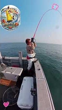 【御前崎博栄丸縞鯵五目釣り】#bstylefishing #釣り #daiwa #五目釣り #博栄丸 #船釣り