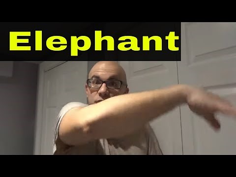 How To Make An Elephant Sound With Your Mouth-Tutorial