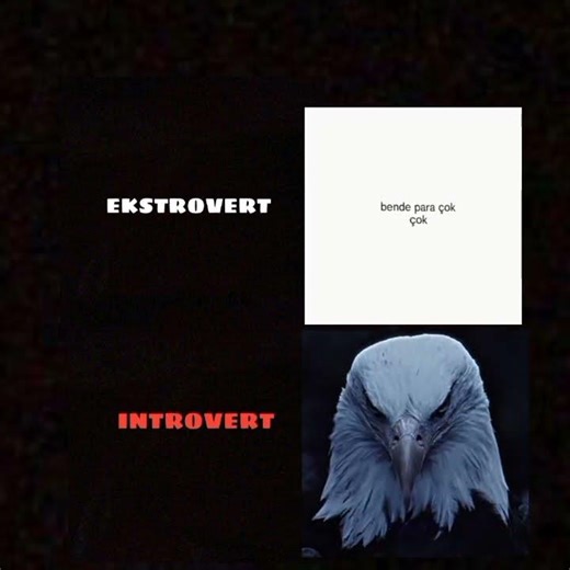 EXTROVERT VS introvert when angry #meme