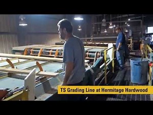 TS Grading Systems Overview