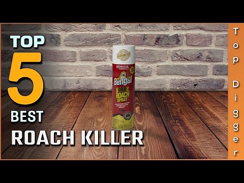 Top 5 Best Roach Killers Review in 2023 - On The Market Today