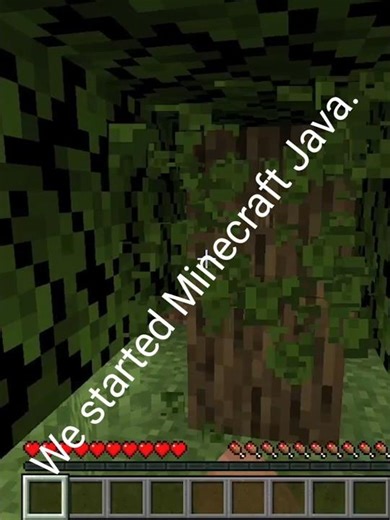 We started Minecraft Java,