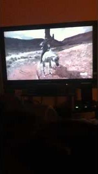 Red Dead Redemption location of the white stallion
