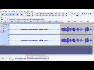 How to use the Selection Tool in Audacity to Cut Mistakes or Silences