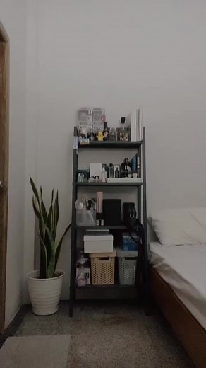 Boxer Challenge: Retos en Boxers en Vivo