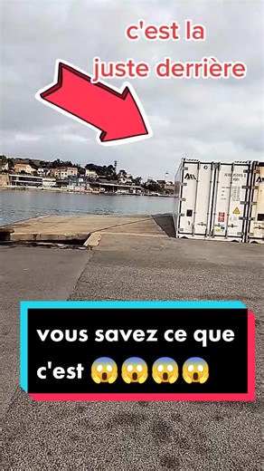 je viens de voir un animal vraiment bizarre. c'est une bête cheloux.jai jamais vue ça.port de port vendre ya des truc chimique.😱😱😱#bizarre #animal #animals #port #portvendres #doker #incroyable #incredible #cheloux #fun #smile #lmao #fyp