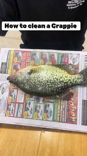 Step by Step Guide: How to Clean a Crappie