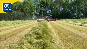 ❗️AVAILABLE FOR DEMO❗️ Check out the KUHN Merge Maxx 1090 Swather 🤩 The Kuhn Merge Maxx has many benefits including: 🌟Highly versatile - 8 different delivery options 🌟Pick up/belt system guarantees high quality clean silage Contact your local Agricar sales department today for further information or to book your demonstration today! 💪🏻 #Kuhn #MergeMaxx #BeKuhnBeReady #AgricarGroup Agricar Ltd. Part of the Agricar Group. Family Business. Family Values. Celebrating 35 Years. | Agricar