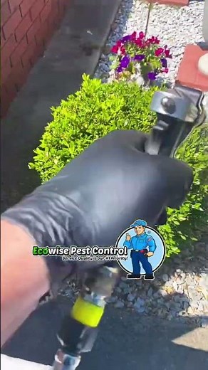 NYC's Latest Pest Invasion: What We Found and How We Stopped It!