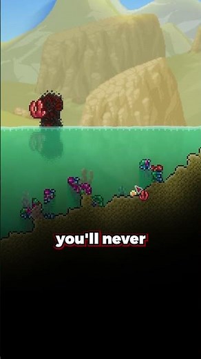 Making The ULTIMATE Coral Reef!