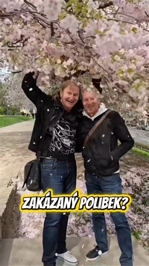 To byste nevěřili, kolik rozruchu dokáže na FB vyvolat jeden nesmělý narozeninový polibek...🔽
