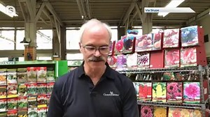 It's a great time to start planting your summer bloomers. Scott from GardenWorks explains which varieties will work best in your outdoor space. | Global BC