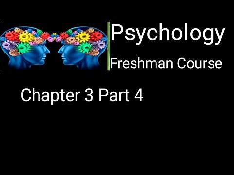 Psychology Chapter 3 Part 4 : freshman course l #Bilal Tutorial tube