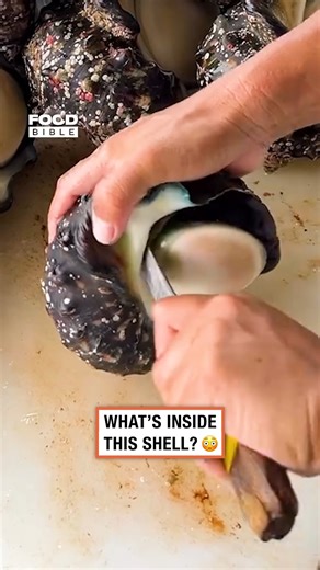 There's something living inside this sea shell 🐚 😯 | FOODbible