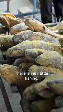Palestinians in Gaza continue their tradition of eating faseekh on Eid al-Fitr