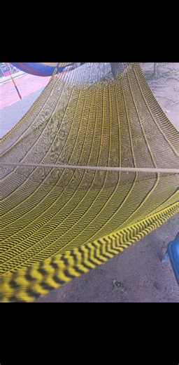 Loren Torres on Reels