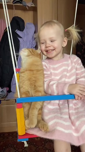 13K views · 299 reactions | cute ❤️ | Cute animals | Facebook