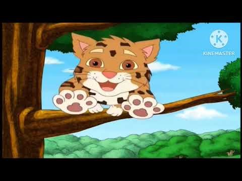 Go Diego Go! - Every Day I’m Getting Bigger song