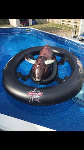 Time to grab the Inflatabull by the horns and do your best to stay on. Who’s ready for a pool rodeo? #inflatabull #poolfloat #poolrodeo #summertime #poolfun #ridethebull #inflatablepoolfloats #ridethebullfail #poolworkout #imexhausted #southfloridalife #epicfailsofunny