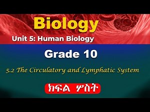 Grade 10 Biology unit 5 part 3 | Human Biology | The circulatory and lymphatic system