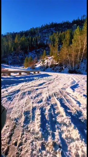 There’s something about the Canyon that makes every problem fade. 🌲💨 . . . #SpearfishCanyonLodge #BlackHillsAdventures #ExploreTheHills #SpearfishCanyon #MountainGetaway #NatureInTheBlackHills #SouthDakotaViews #CanyonEscape #BlackHillsRetreat #ScenicGetaway #OutdoorAdventure #RelaxInNature #HiddenGemSD | Spearfish Canyon Lodge