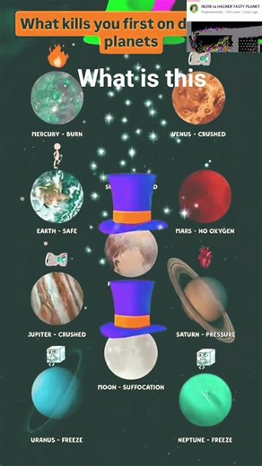 bob the builder #funny #jokes