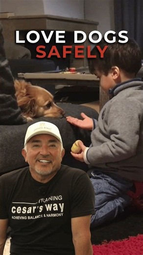 Kids Need Rules Before They Pet a Dog | Cesar Unleashed