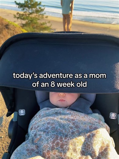 TikTok · jamie danielle