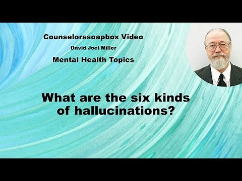 Six Kinds of Hallucinations