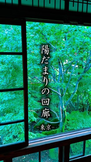 【歴史の静寂に溺れる。東京の墨色モダン邸宅】 #shorts #高橋是清邸 #江戸東京たてもの園 #東京リトリート #大人の休日