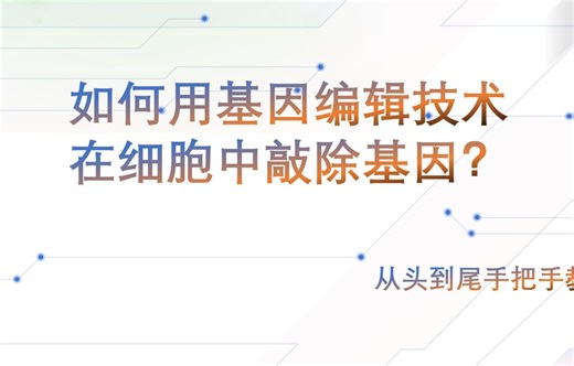大型纪录片之《如何在细胞中敲除一个基因》持续为您播出，麦克阿瑟师兄教你基因敲除