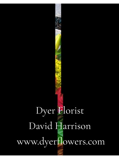 What a beautiful and vibrant floral arrangement! It features a lovely mix of orange lilies, bright yellow orchids, rich red roses, and unique spiky reddish-orange flowers, all accented with small pink blooms and lush greenery. They're arranged in a rustic wooden box, sitting on a weathered wooden surface. It looks like a truly cheerful display! #dyerflorist #davidharrison #gibsoncountyflorist #flowershop #fyp www.dyerflowers.com@Miss Cat 💥 @Paula @Highlight @💚heypretty💚