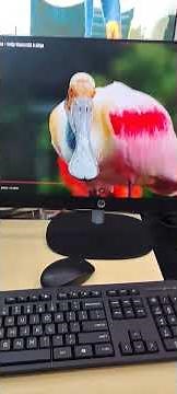 Winter Sale Offer 🎁🎉🎄HP World Store Deoria #deoria #youtubeshorts #newtechnology #dhurandhar #viral