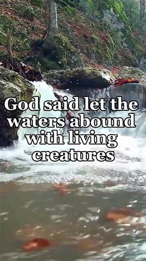 Genesis 1:20 | Daily Bible Verse