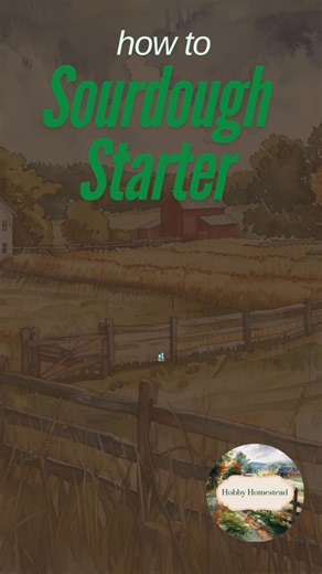 This is a very short tutorial to get you started making sourdough starter. Starting your first sourdough starter doesn’t have to be complicated. Just flour, water, and a few days on the counter. It's a very simple method and is not as scary as it seems. If you want me to make a more detailed version of this video with complete start to finish on the process, drop me a comment! Full details on how to do this is on my website. https://hobbyhomestead.com/from-scratch-how-to-make-an-easy-sourdough-s