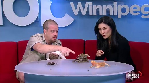 Manitoba Reptile Breeders Expo