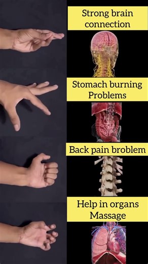 Turn Back The Clock: 1 Minute Hand Exercise for Heart & Brain. #HandYoga #HeartHealth #Wellness