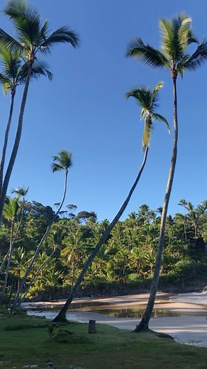 EDA ATILLA on Instagram: "Itacaré | Bahia 🐚✨"