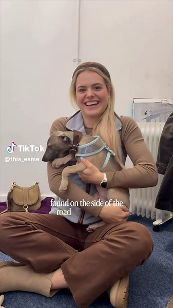 Meet Fossie: Our New RSPCA Rescue Puppy