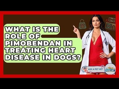 What Is The Role Of Pimobendan In Treating Heart Disease In Dogs? - Ask A Pet Vet