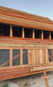 156K views · 4K reactions | M - Nation  Its to do what ?  Also, support local businesses by buying your bird houses from our brothers and fathers along Kafue road. ☺️ | Mutale Mwanza | Facebook