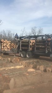 Smooth, quick, and easy is what Serco is all about! Unloading some hardwood with ease 💪 Video credit: Gruveranthony (TikTok) - - - - #sercoloaders #forestry #logging #materialhandling #truck #loggers #heavyequipment #loggingislife | Serco Loaders