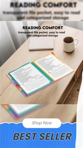 A4 Expandable Project Folder - A4 Sorting Folder - 12 Compartments - File Folder with Tabs - Comp...