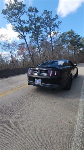 2010 3v Mustang GT catback exhaust sound