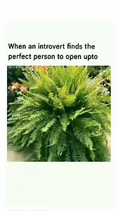 We are selectively SOCIAL! 😎 #relatable #trending #memes #love #introvert #relationships #funnymemes #explore #viral #relatablememes #introverted #introvertstruggles #introvertproblems #reels #reelsviralシ #reelsvideoシ #reelsfypシ #viralreelschallenge | Hey Introvert