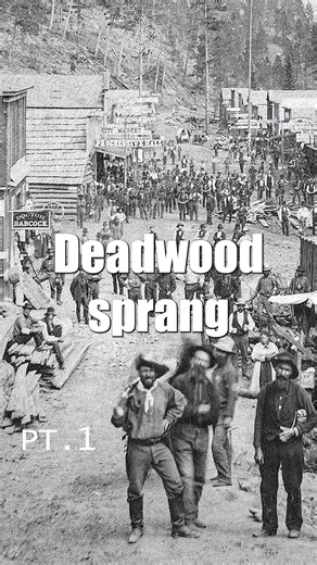 202K views · 2.9K reactions | Deadwood Sprang Up as Gold Seekers Poured In #Deadwood #GoldRush #OldWest #AmericanHistory | History Shortcut | Facebook