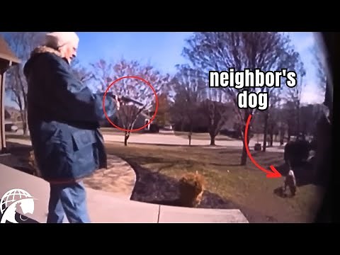 The WORST Neighbors Ever Caught on Camera [Vol. 3]
