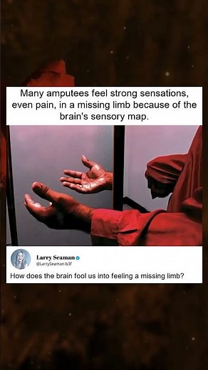 Phantom Limb Sensations and Pain Explained